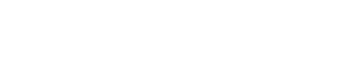 MIZUNO GH-251 FORGED IRON